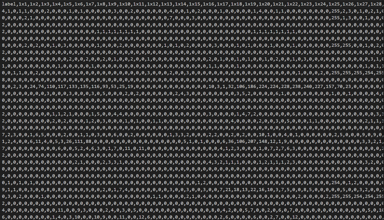 Dataset Format Example